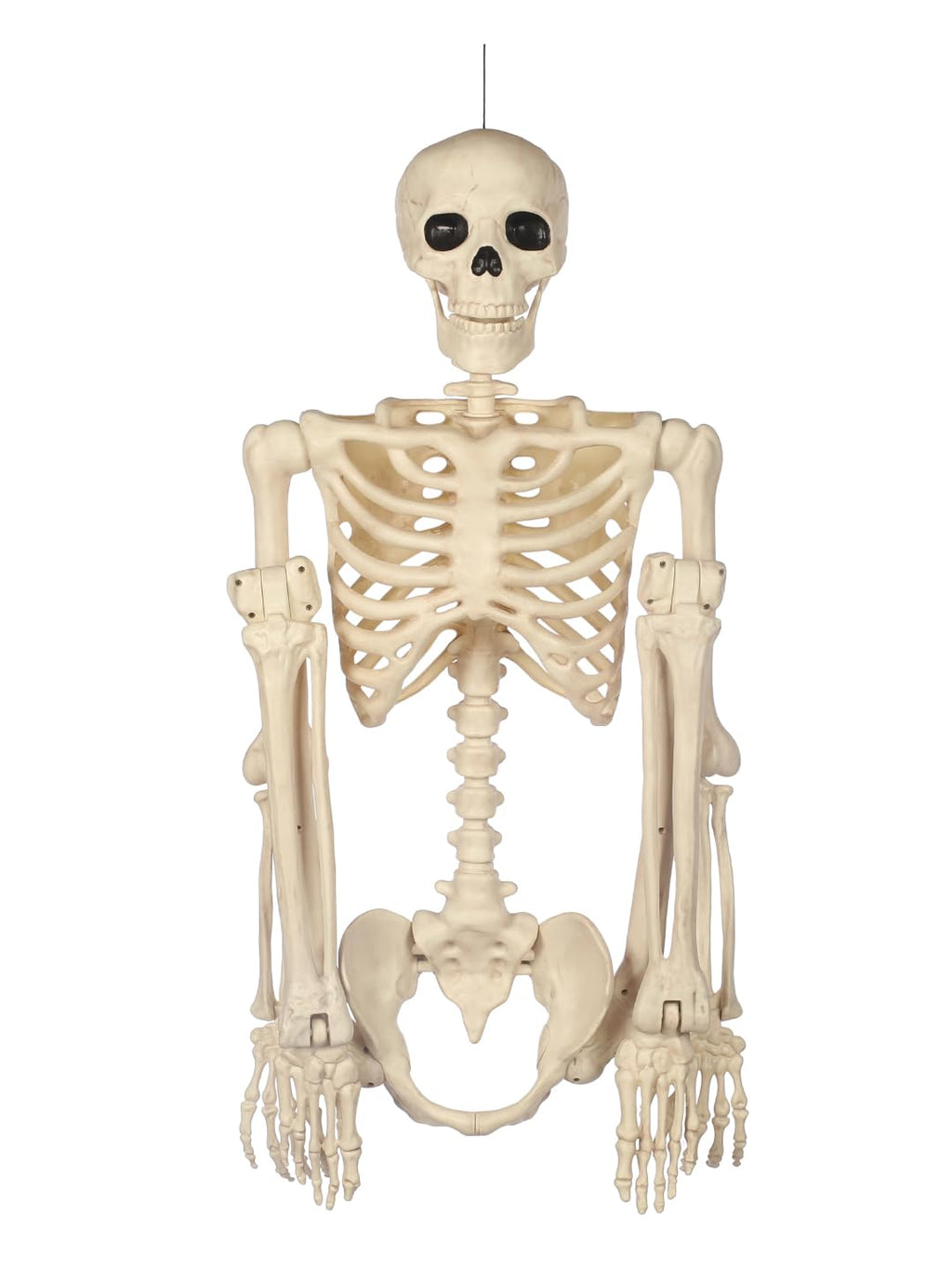 5FT Life Size Posable Skeleton K232437