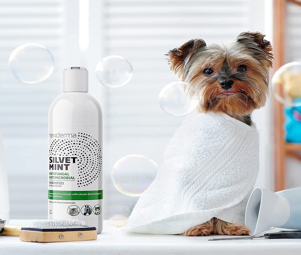 Tearless Hypoallergenic Coconut Oil Pet Shampoo 16oz H7905
