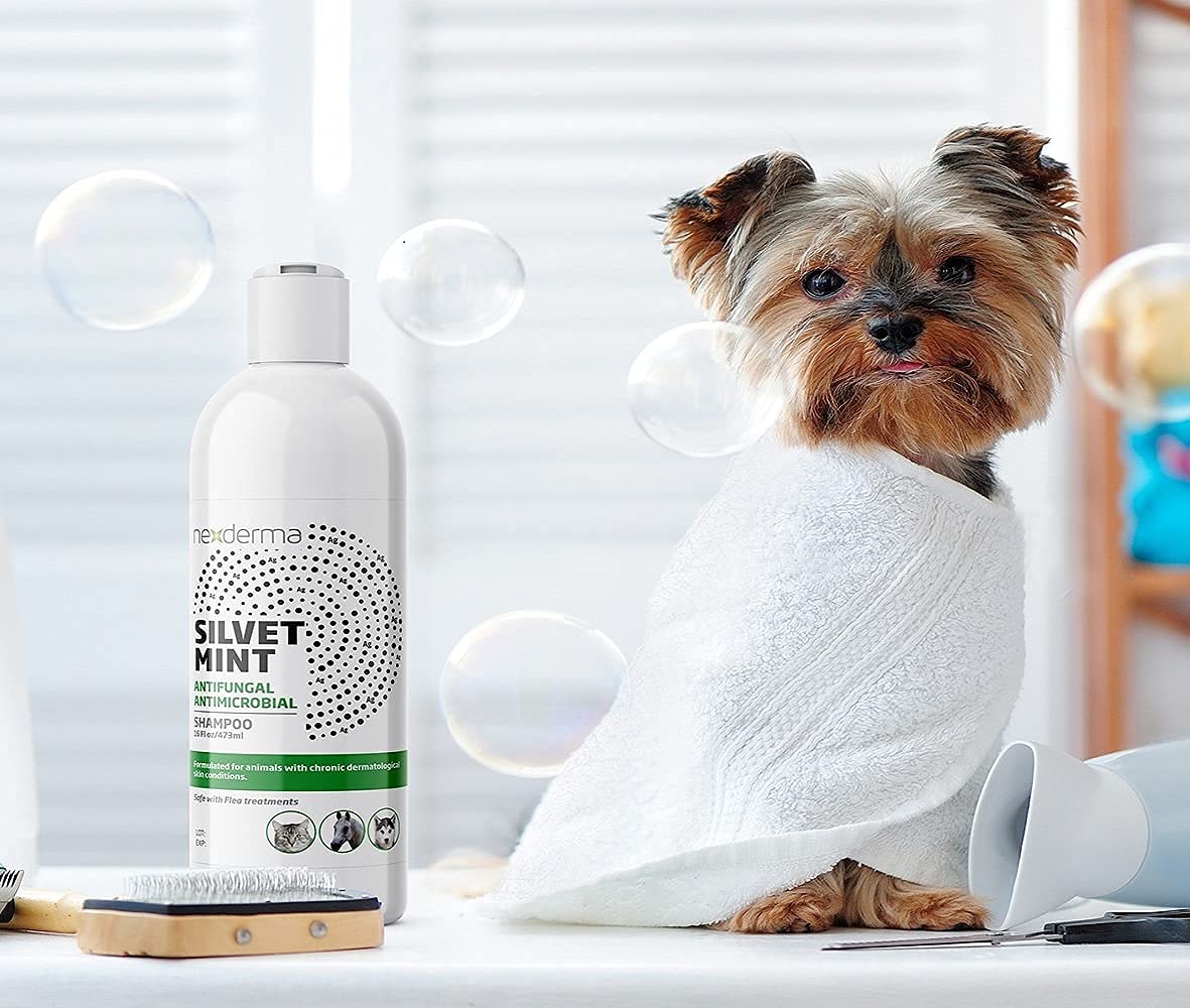 Tearless Hypoallergenic Coconut Oil Pet Shampoo 16oz H7905