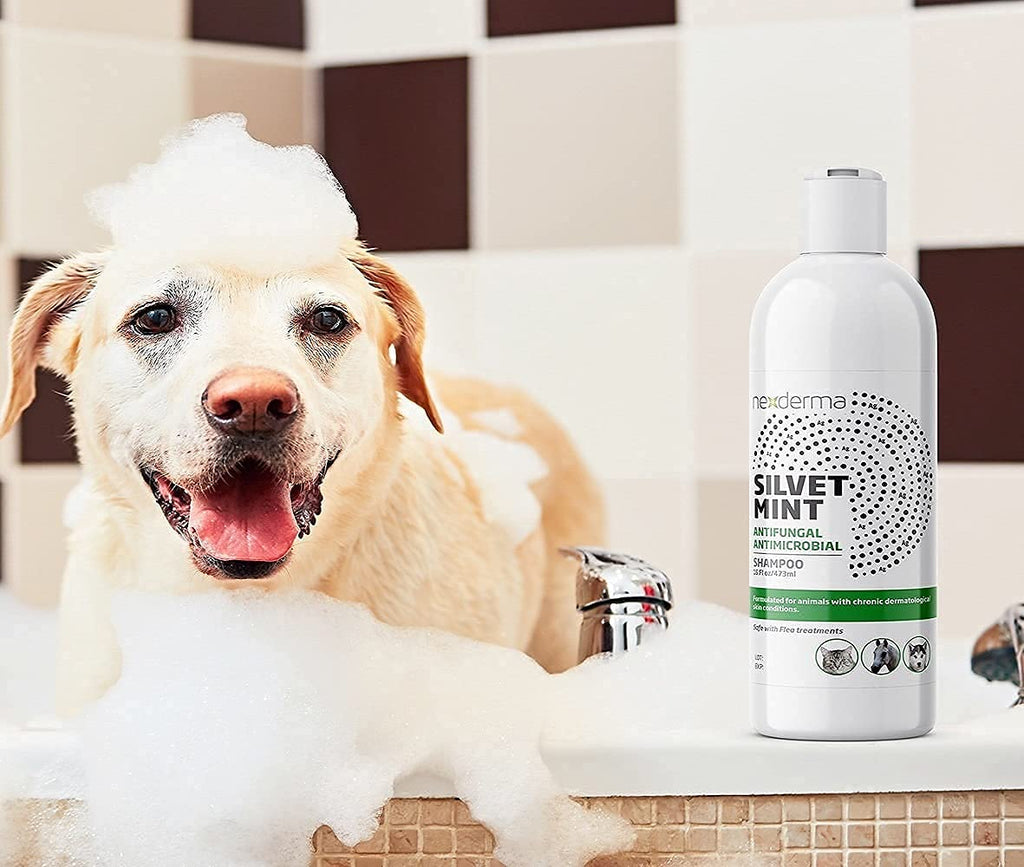 Tearless Hypoallergenic Coconut Oil Pet Shampoo 16oz H7905