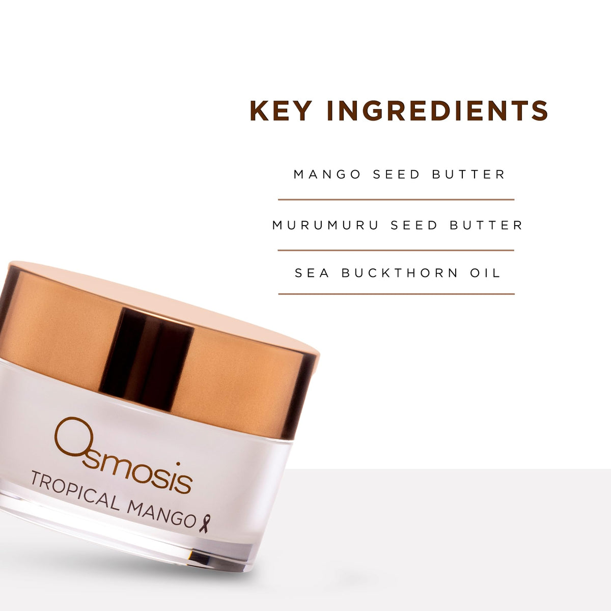 Tropical Mango Shea Butter Barrier Repair Mask P672