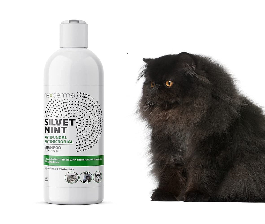 Tearless Hypoallergenic Coconut Oil Pet Shampoo 16oz H7905