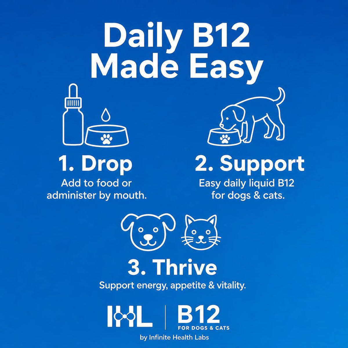 Vitamin B12 for Dogs & Cats, Methylcobalamin, 1 oz E50347