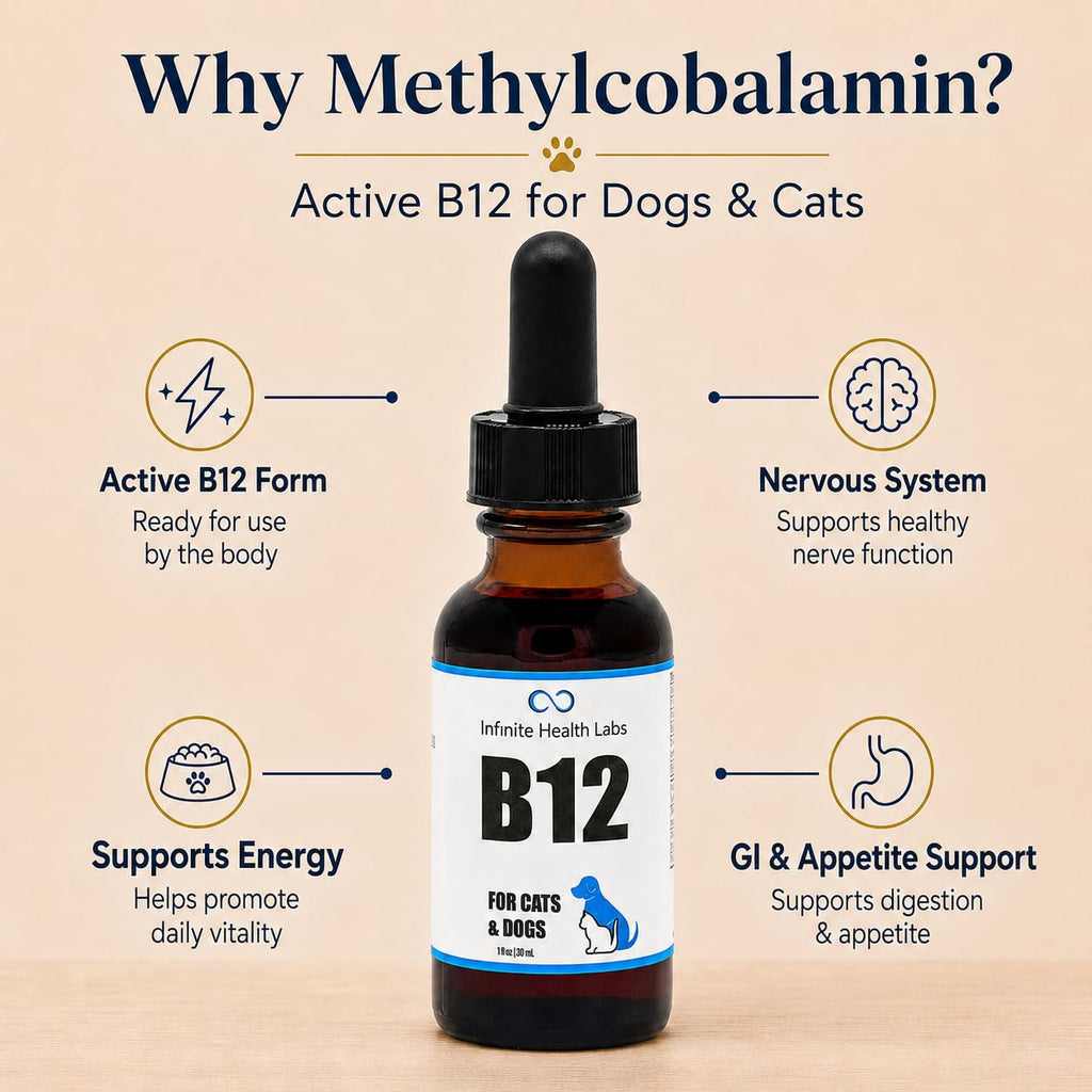 Vitamin B12 for Dogs & Cats, Methylcobalamin, 1 oz E50347