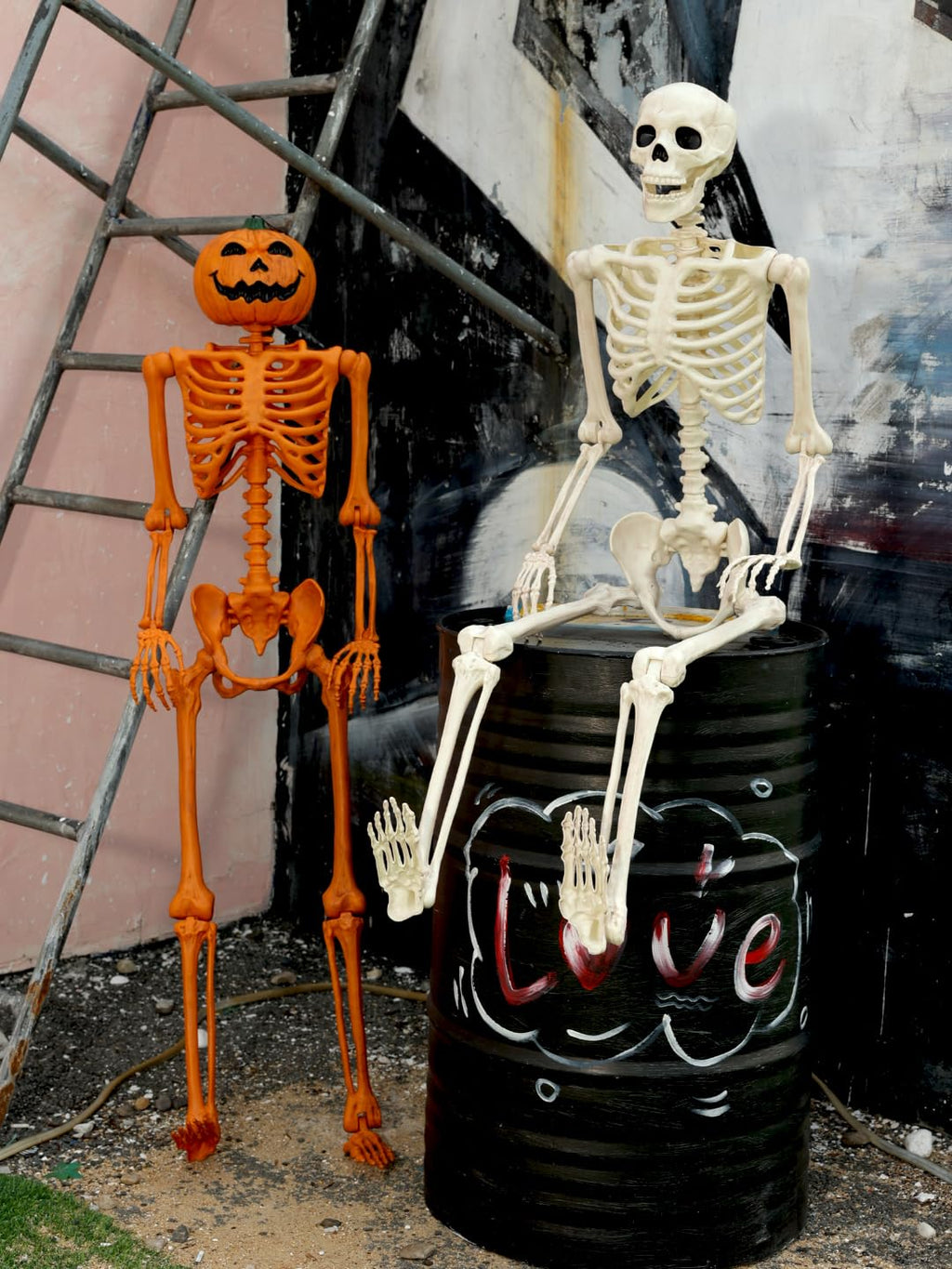 5FT Life Size Posable Skeleton K232437
