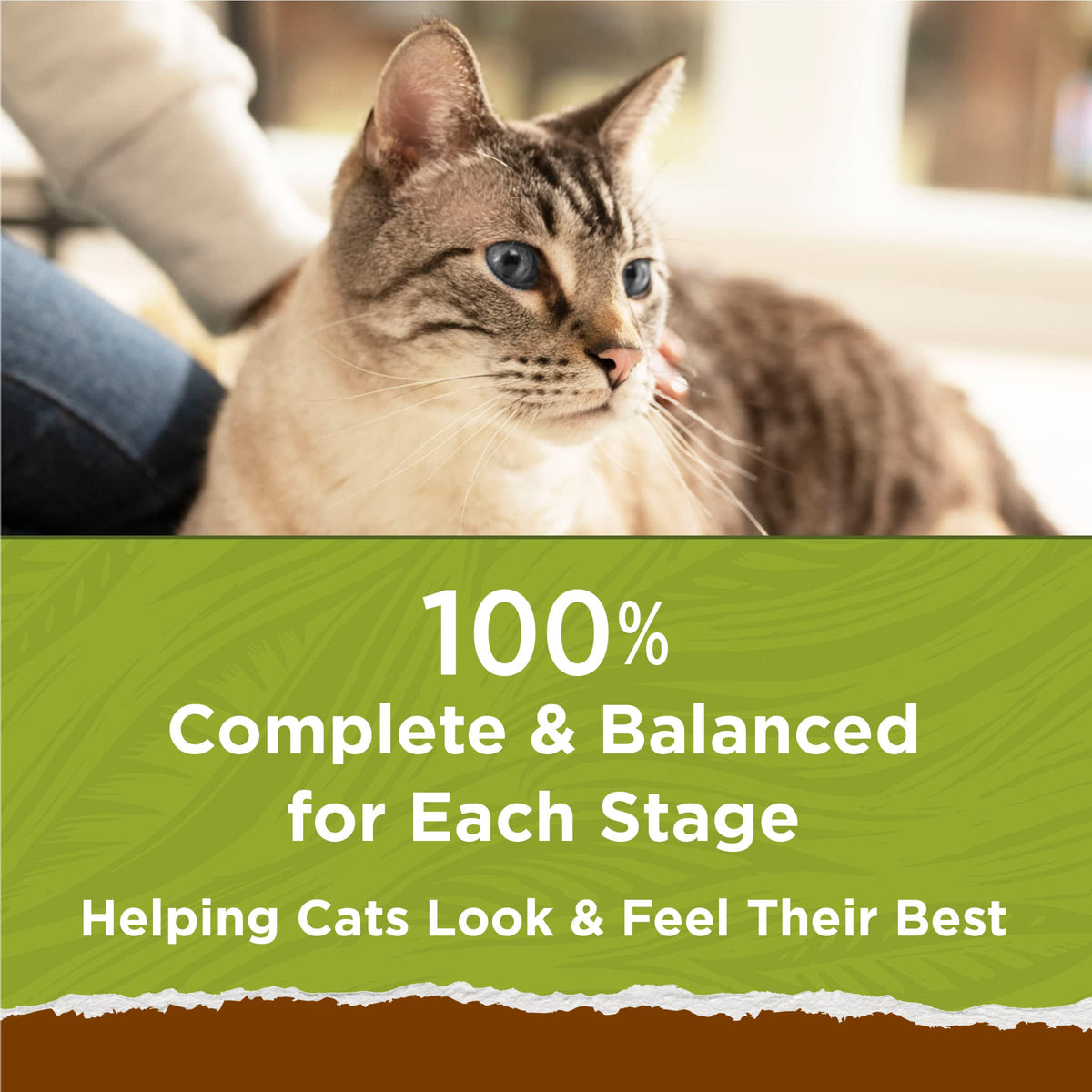Grain Free Dry Cat Food with Real Chicken 13 lb H760437