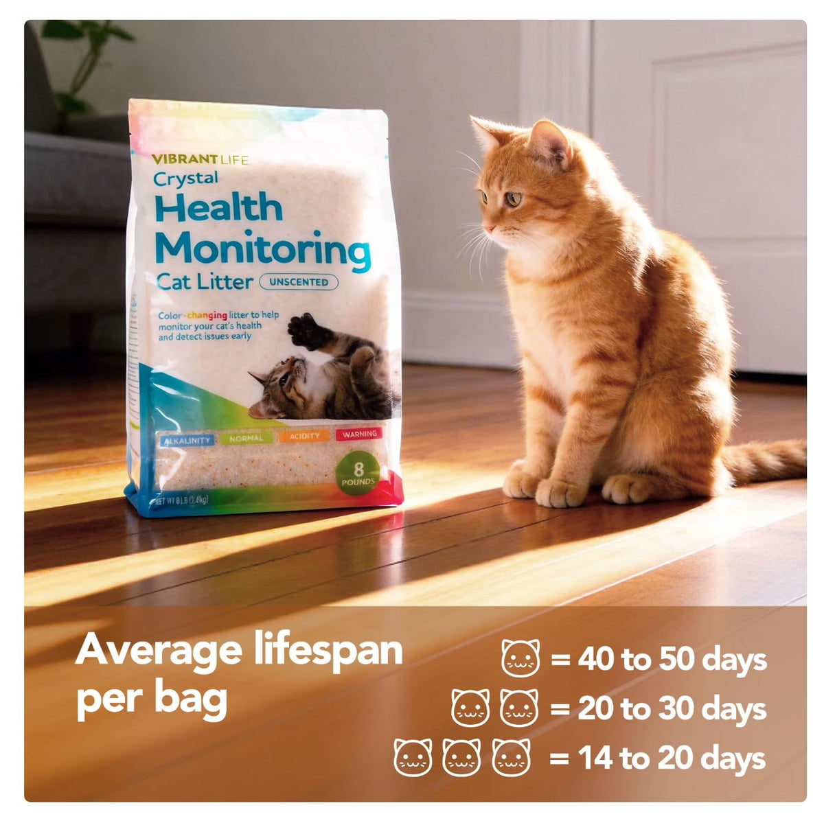 Unscented 8 Lb Cat Litter F112186