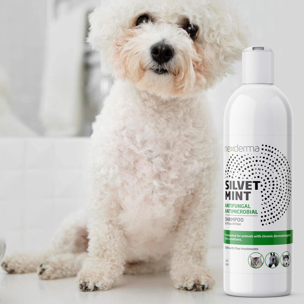 Tearless Hypoallergenic Coconut Oil Pet Shampoo 16oz H7905