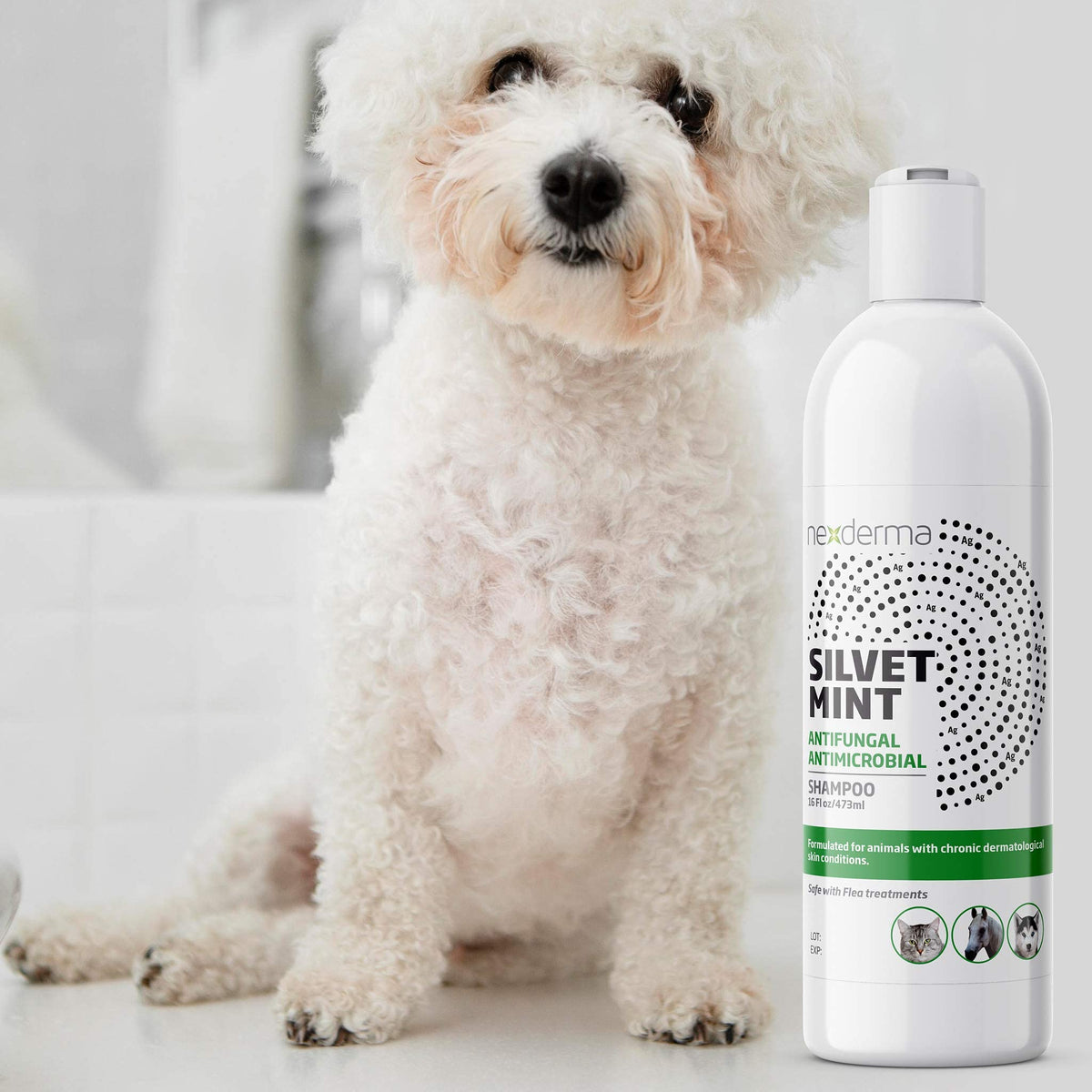 Tearless Hypoallergenic Coconut Oil Pet Shampoo 16oz H7905