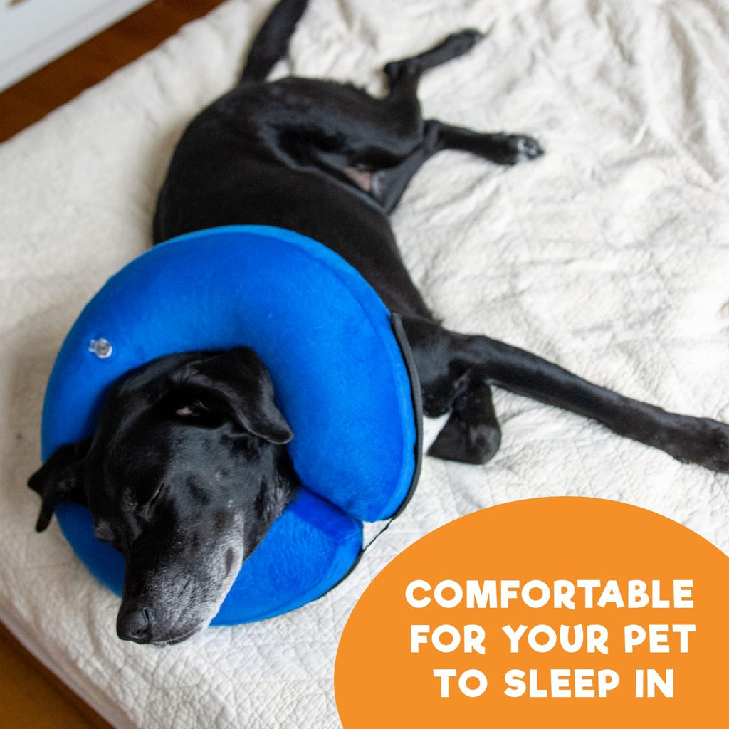 Inflatable Dog Cone Collar Alternative Large Blue Y4024