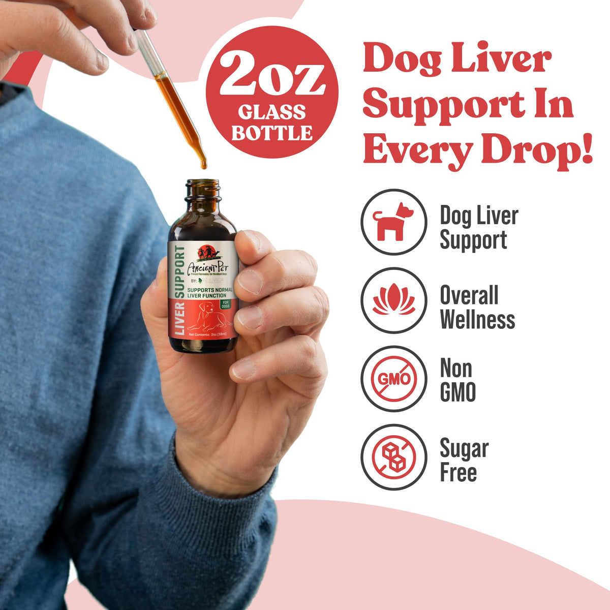 Milk Thistle & Dandelion Pet Liver Support Supplement M6042