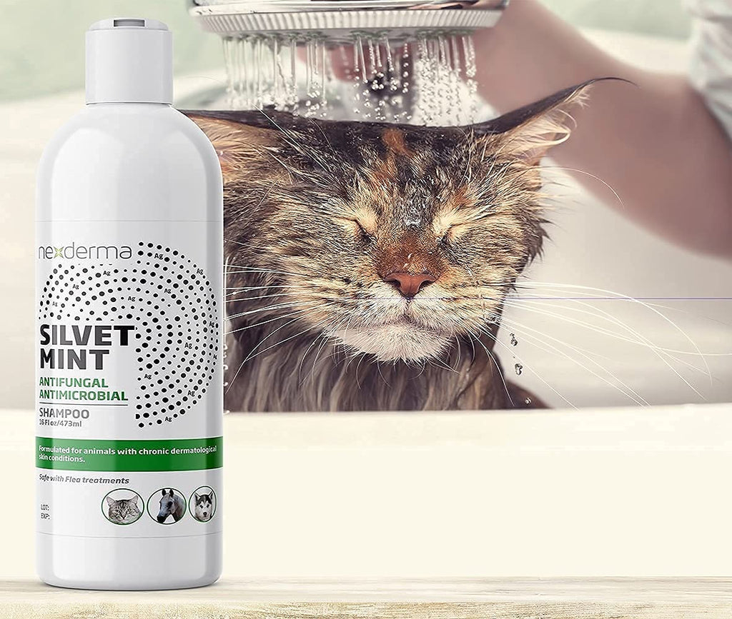 Tearless Hypoallergenic Coconut Oil Pet Shampoo 16oz H7905