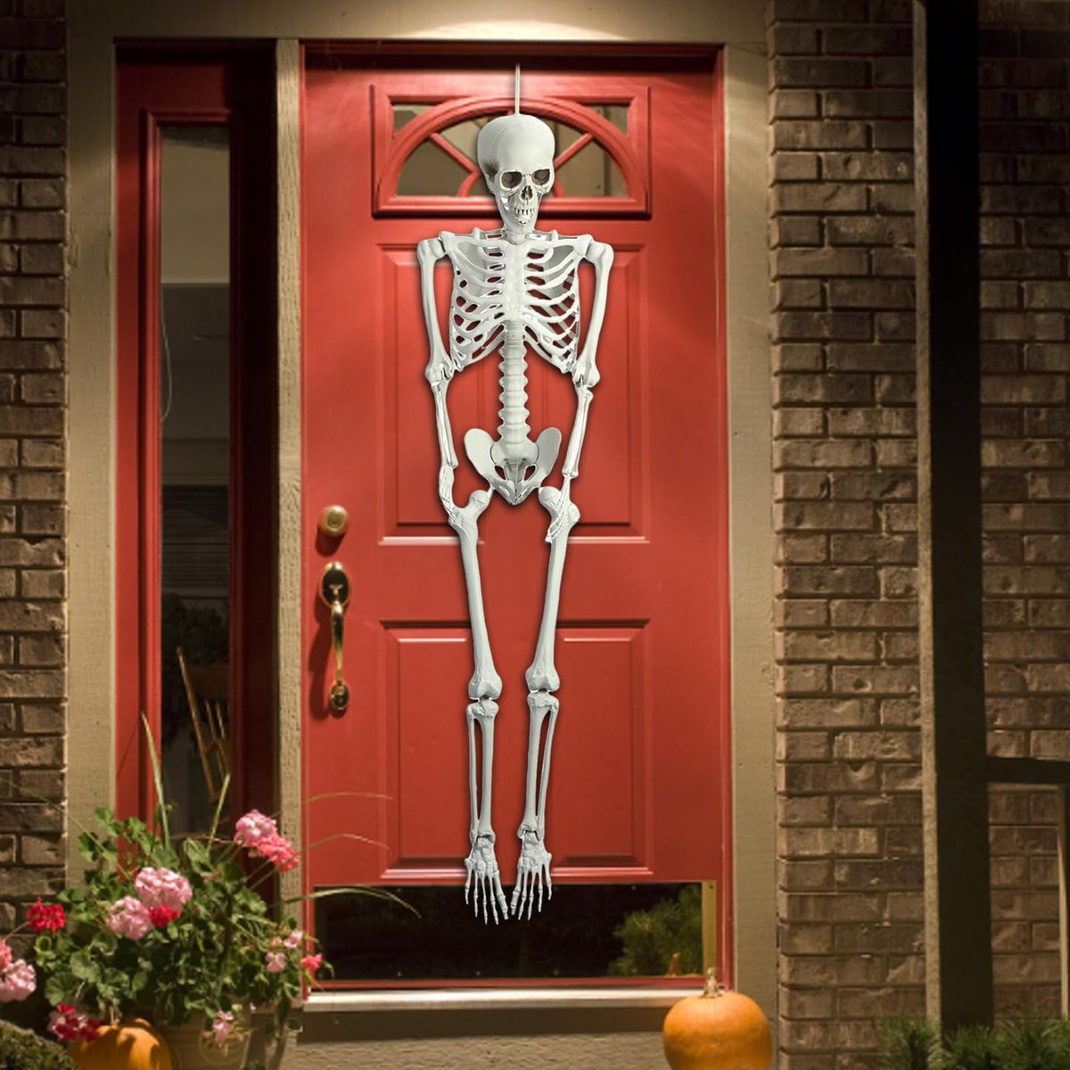5.4FT Life Size Poseable Human Skeleton Prop F952127
