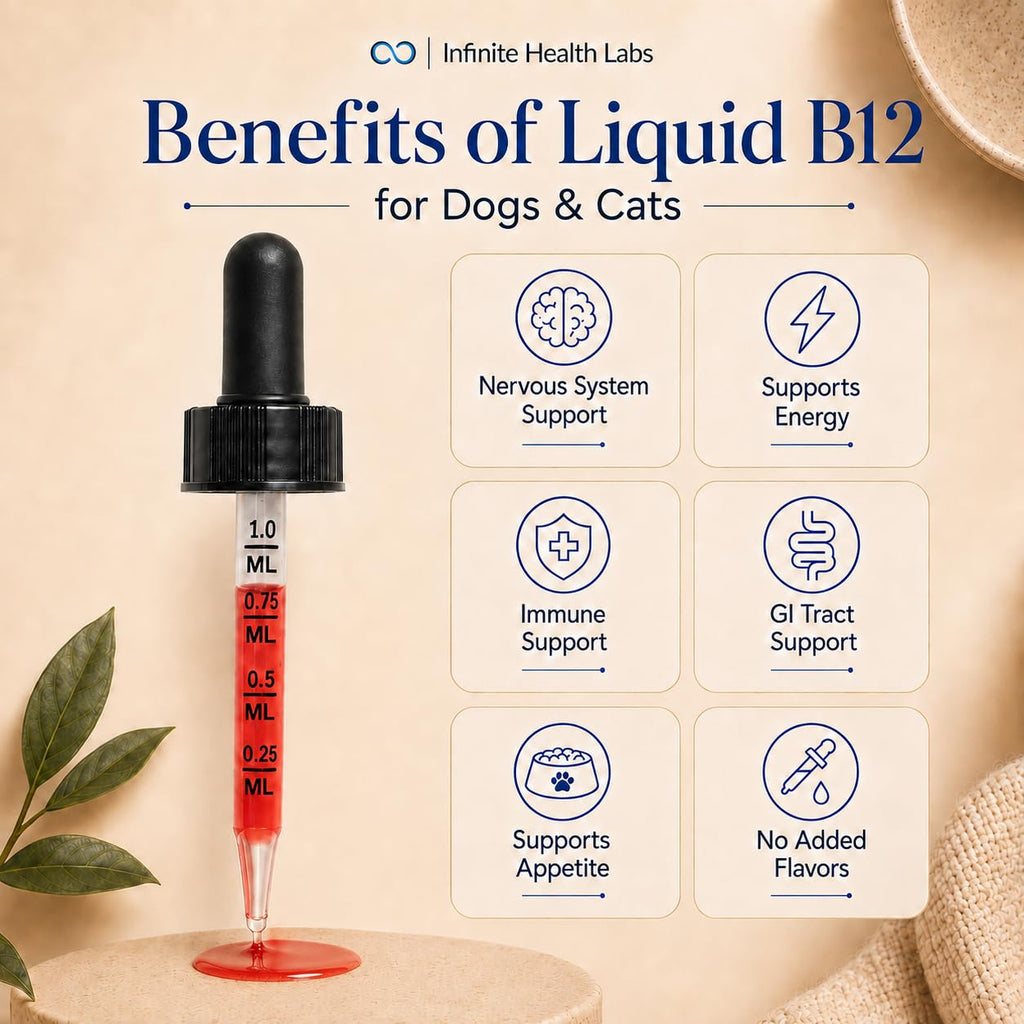 Vitamin B12 for Dogs & Cats, Methylcobalamin, 1 oz E50347