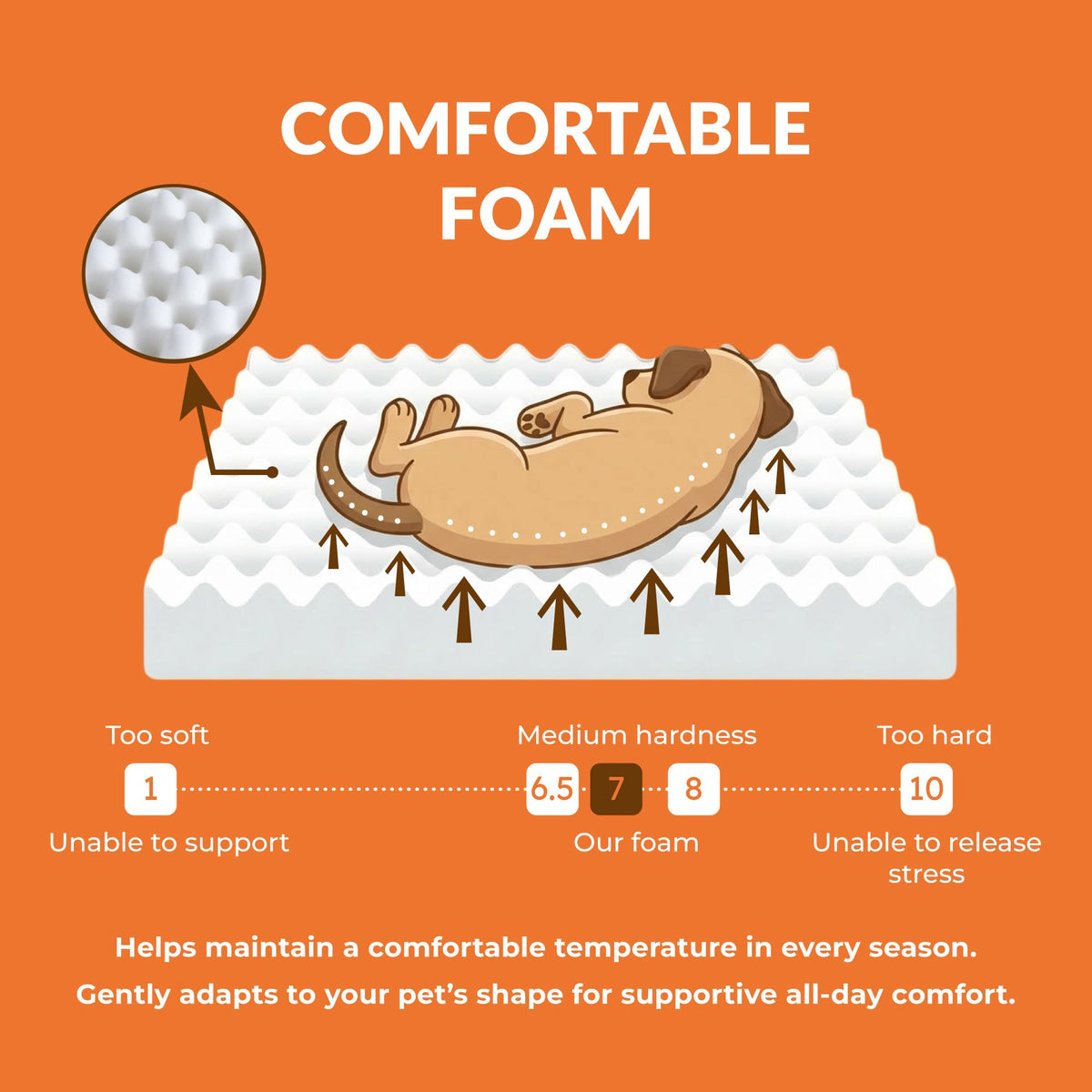 Wood Dog Bed Frame with Foam Mattress Z553