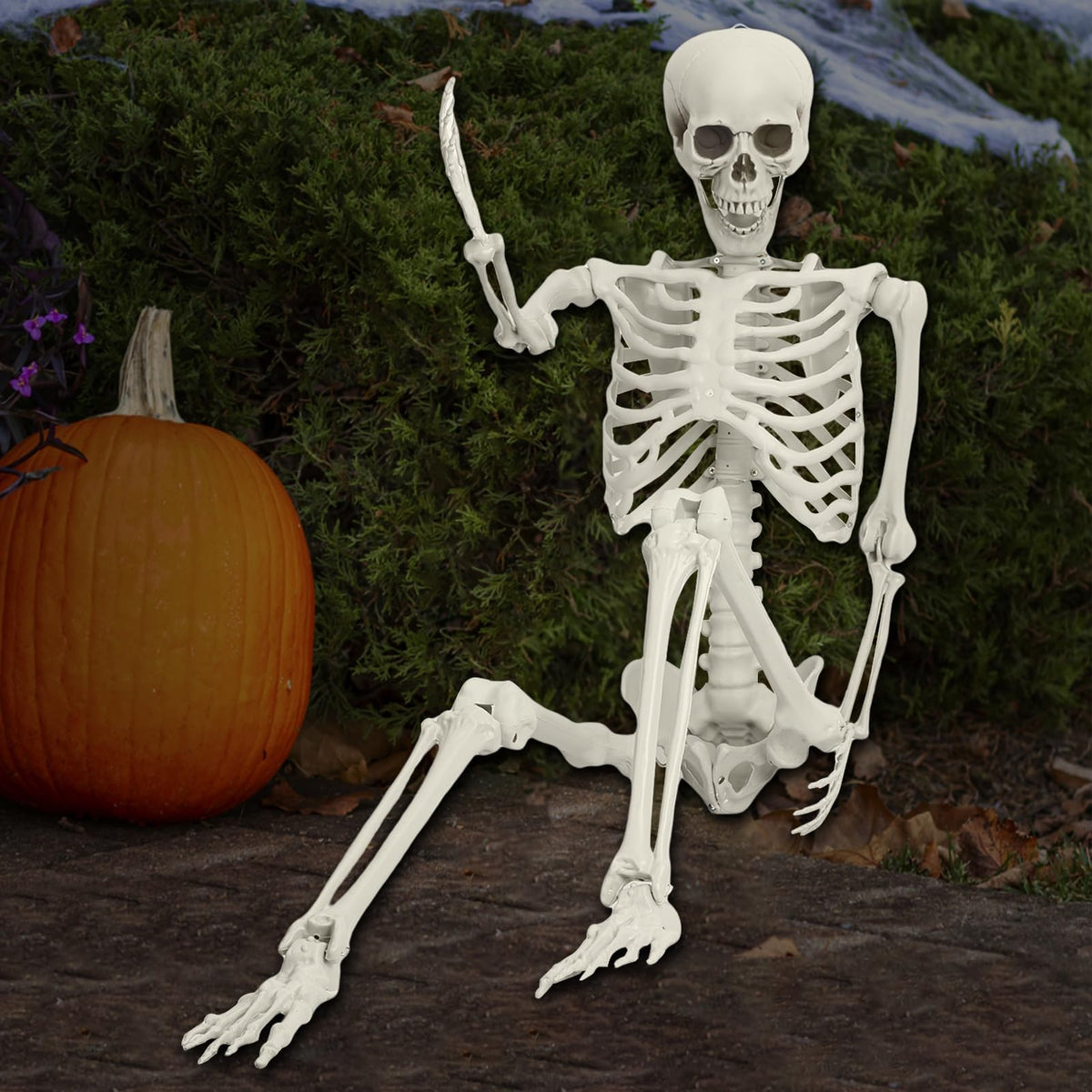 5.4FT Life Size Poseable Human Skeleton Prop F952127