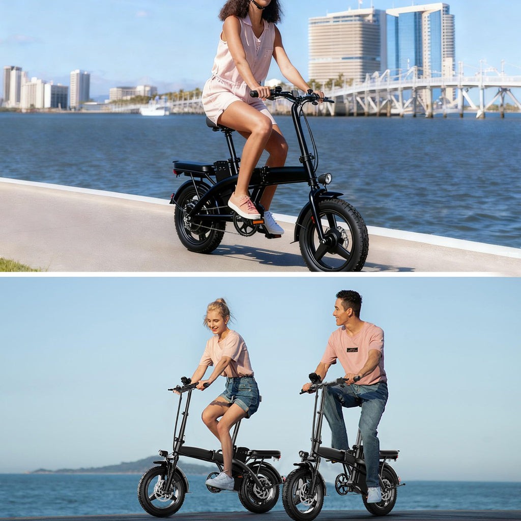 Foldable 500W Electric Bike W8297