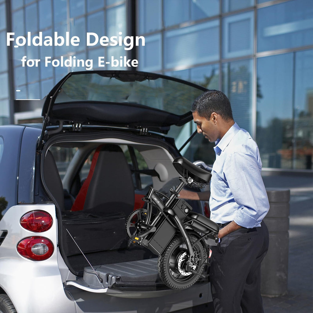 Foldable 500W Electric Bike W8297