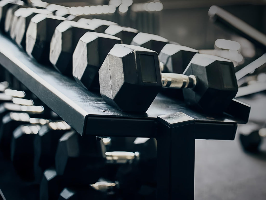 10LB Rubber Hex Dumbbells Set of 2 X901