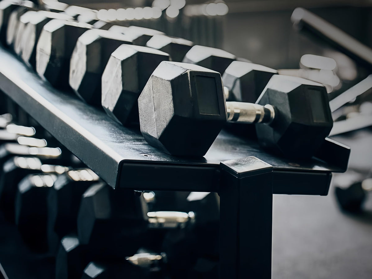 10LB Rubber Hex Dumbbells Set of 2 X901