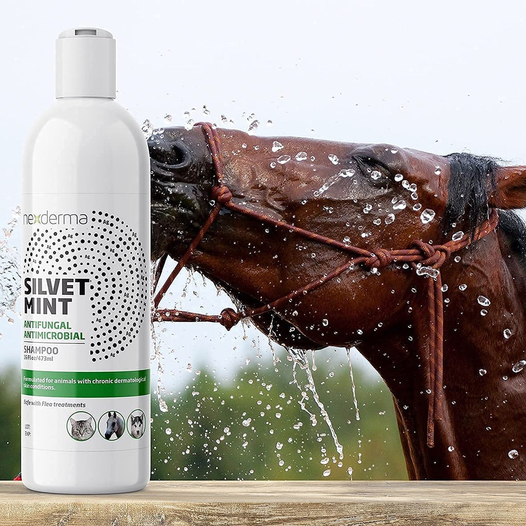 Tearless Hypoallergenic Coconut Oil Pet Shampoo 16oz H7905