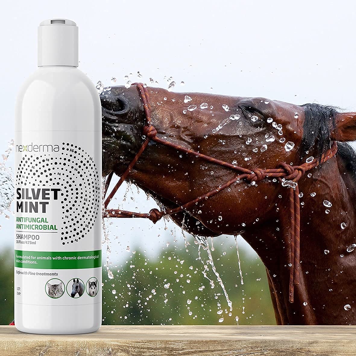 Tearless Hypoallergenic Coconut Oil Pet Shampoo 16oz H7905