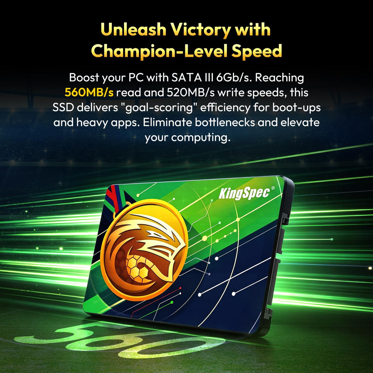 1TB 2.5-inch SATA III Internal SSD L21657