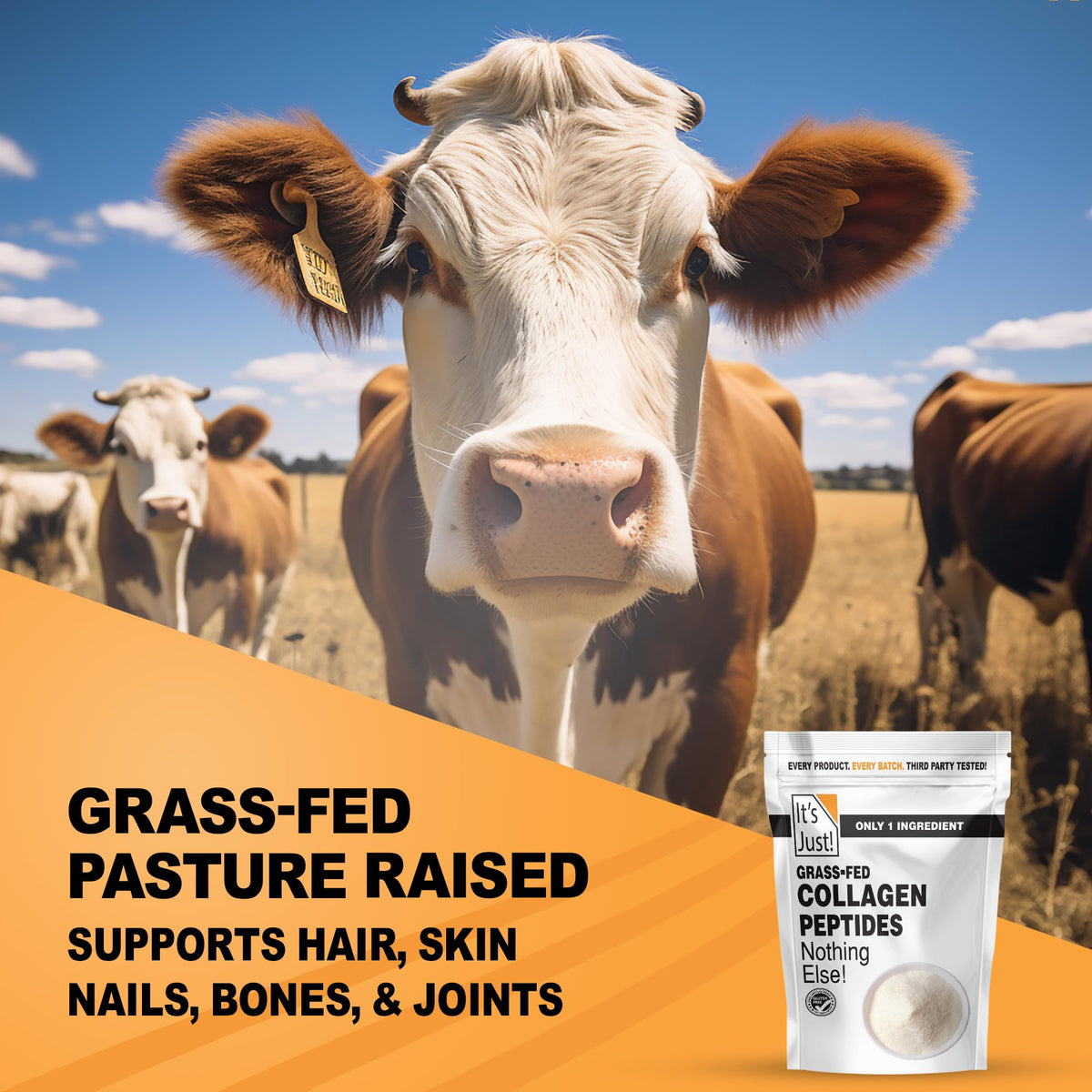 Collagen Peptide Grass-Fed Protein Powder Unflavored 20oz Z9039