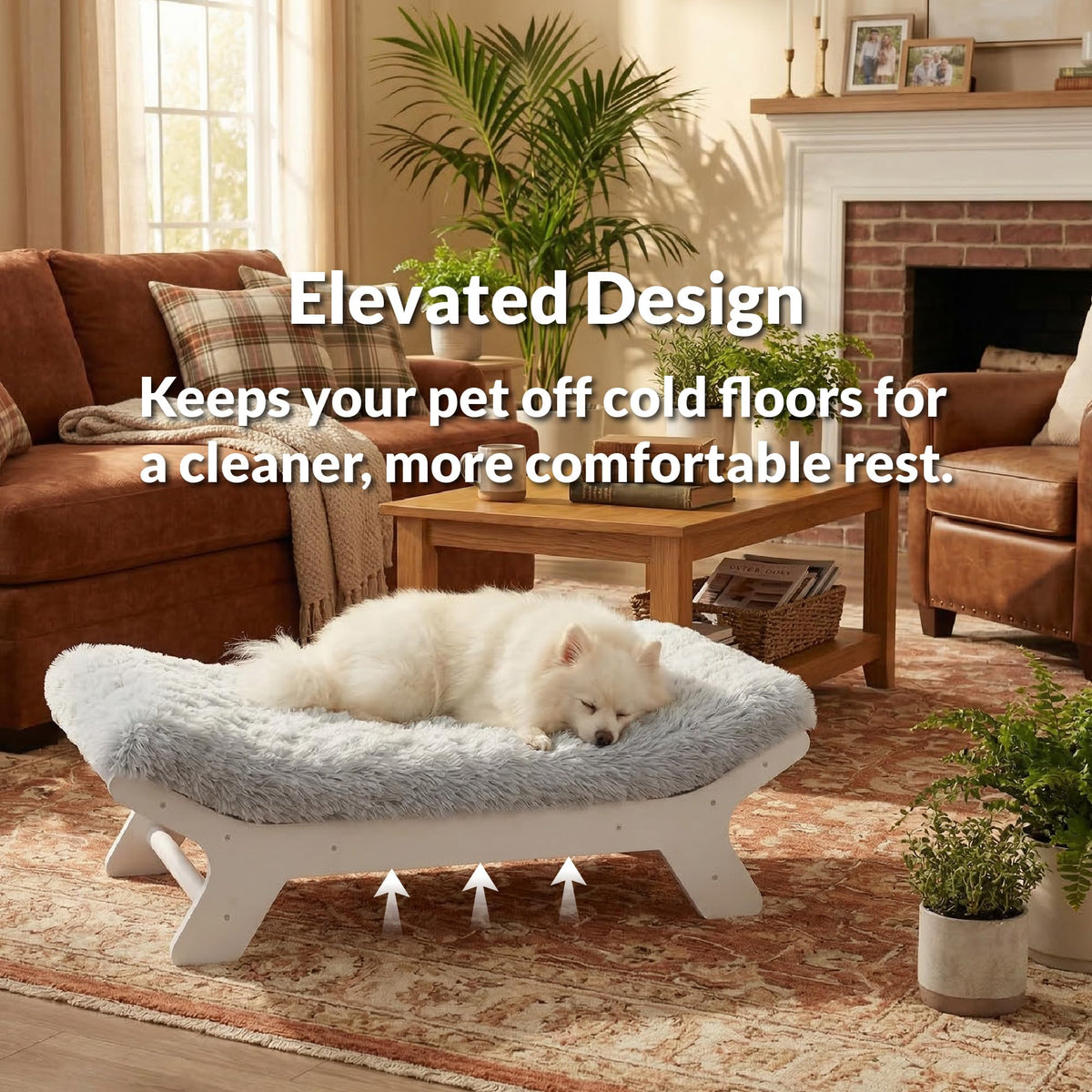 Wood Dog Bed Frame with Foam Mattress Z553