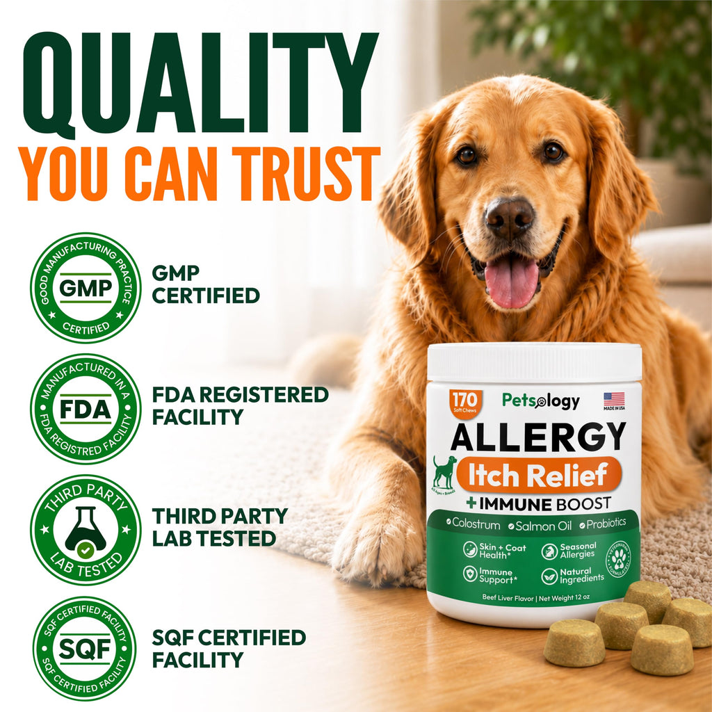 Dog Allergy Relief Chews 170 Count Y66665