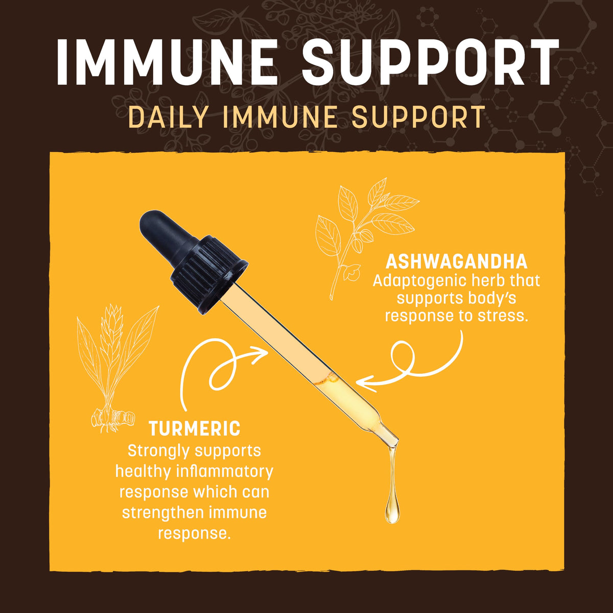 Immune Support for Dogs & Cats 2 fl oz N9190