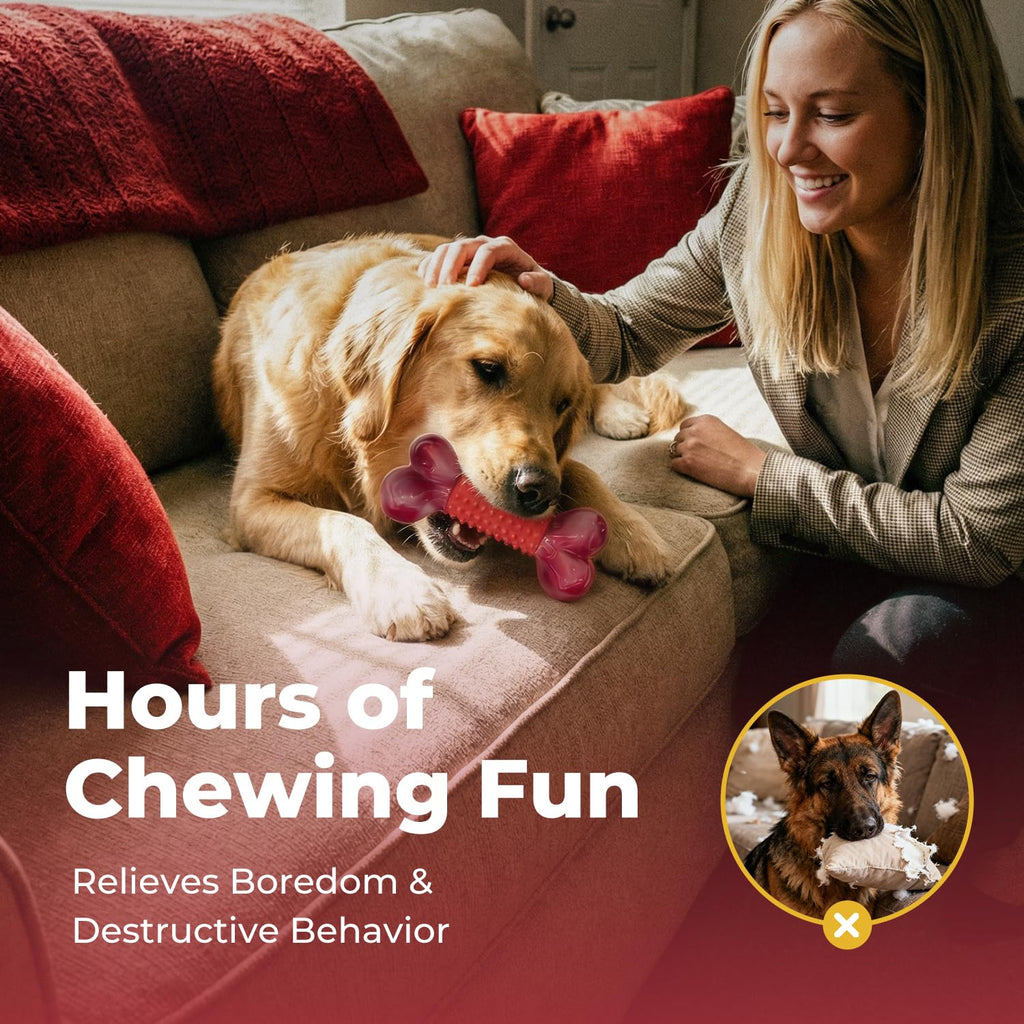 Beef Flavored Dog Chew Toys K351100