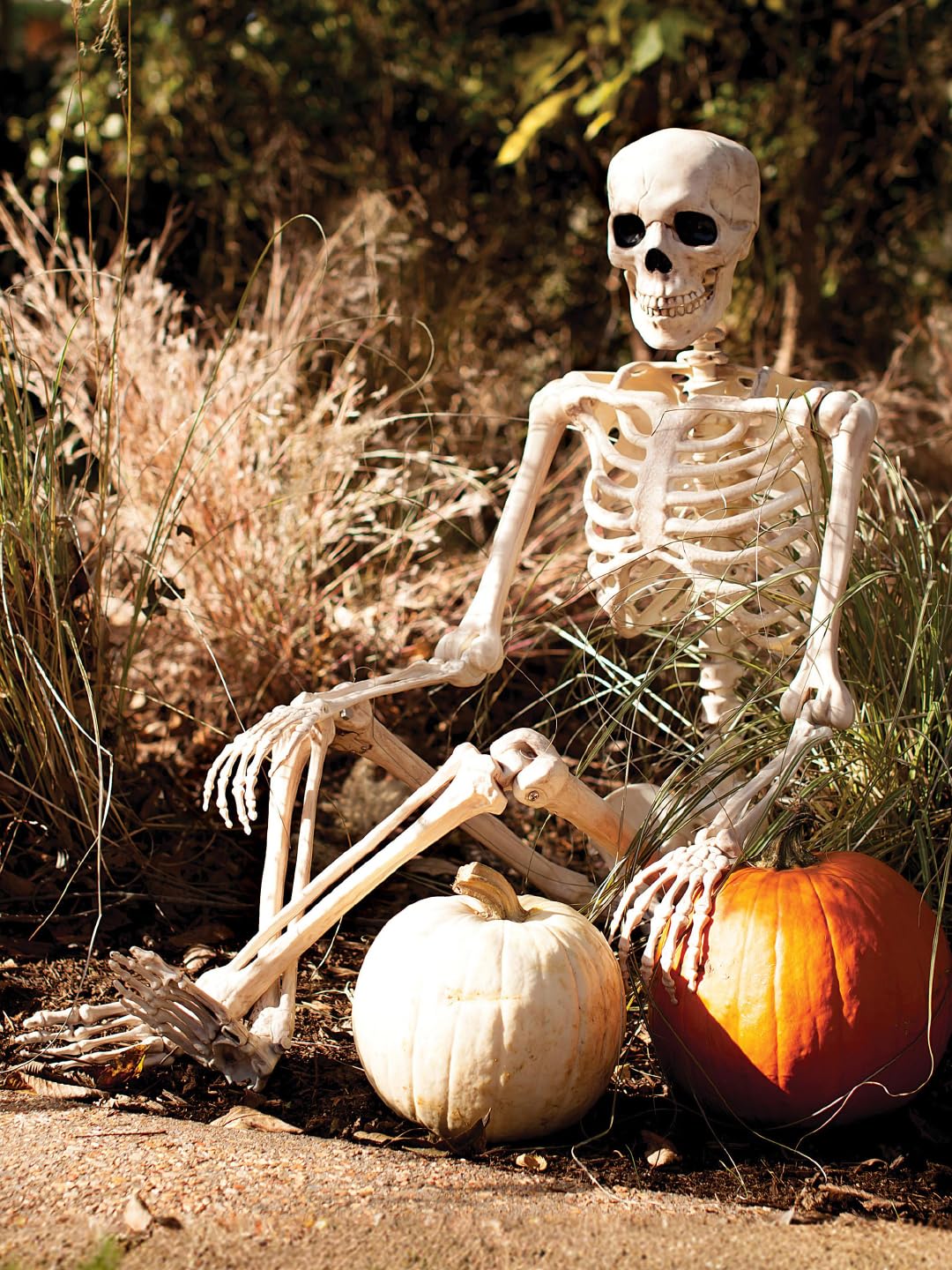 5FT Life Size Posable Skeleton K232437