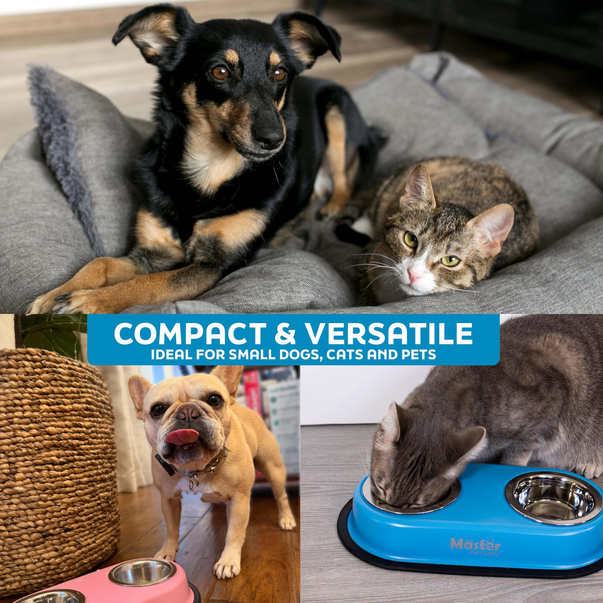 Double Dog Bowls Set with Elevated Base X815