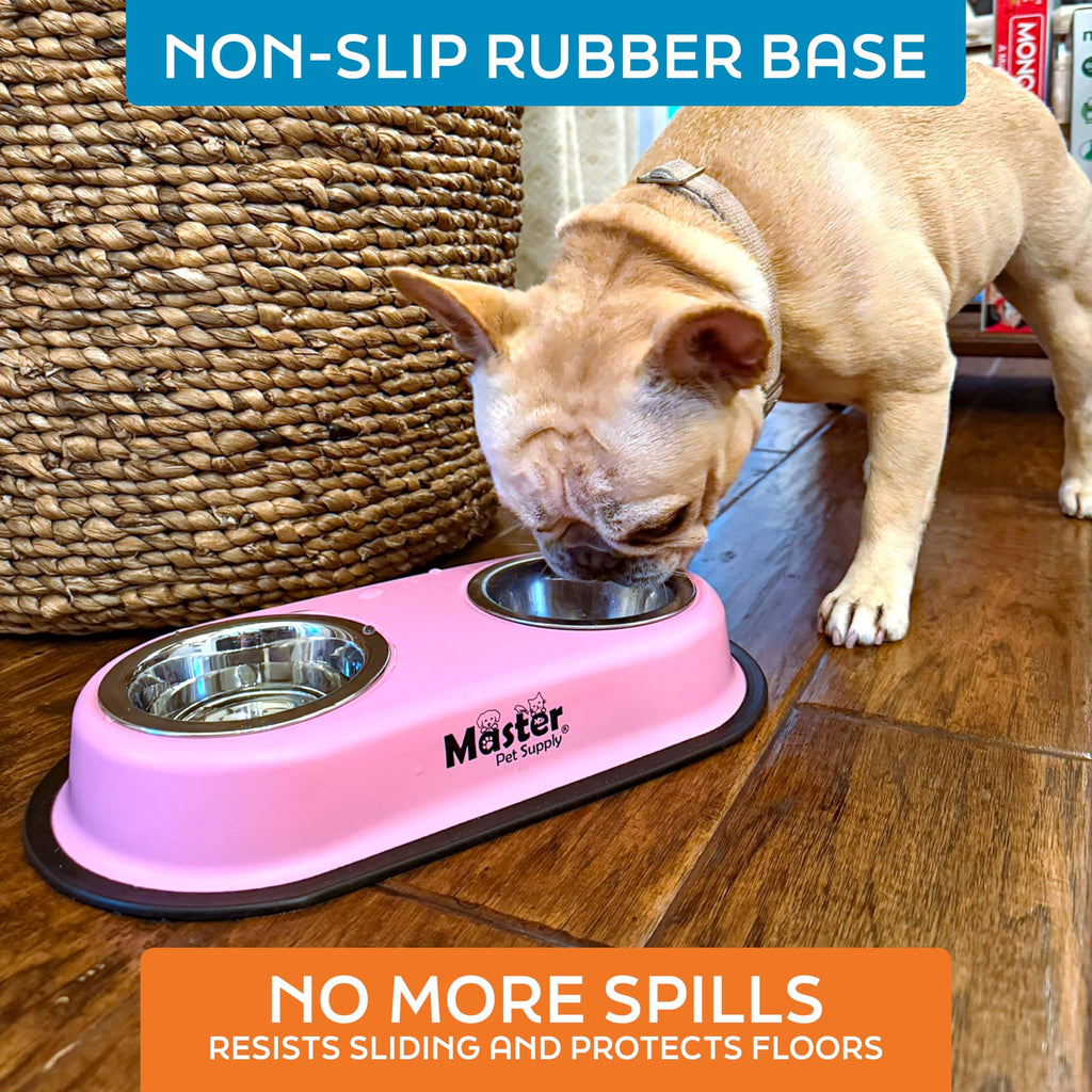 Double Dog Bowls Set with Elevated Base X815