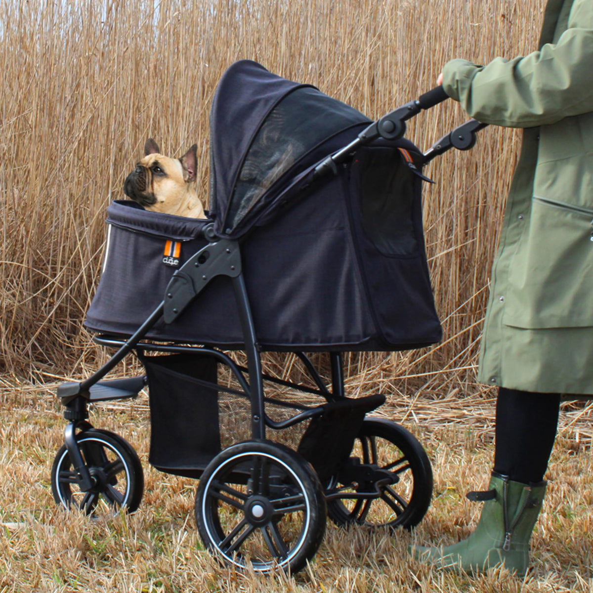 Dog & Pet Buggy, Holds up to 32 kg, Easy Fold G56313